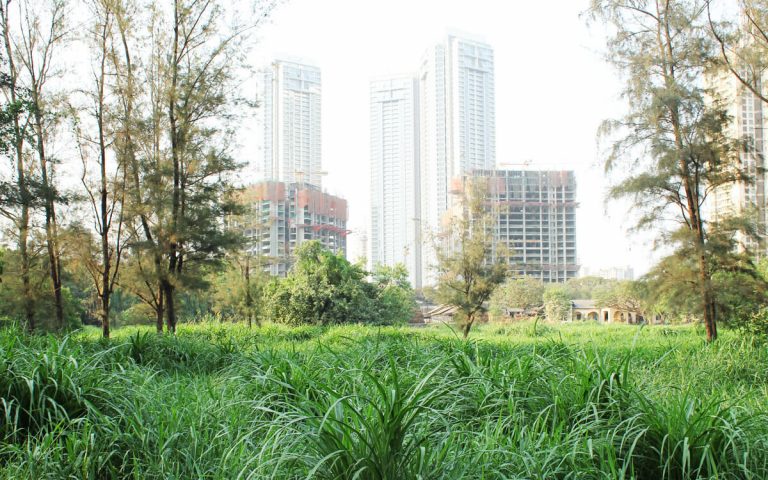 Aarey Milk Colony and Mumbai Metro Issue - Laffaz