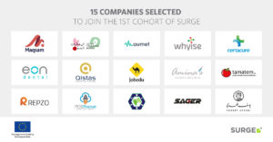 15 companies selected for Endeavor Jordan's Surge, scale-up roadmap for growing enterprises