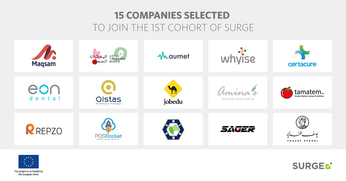 15 companies selected for Endeavor Jordan's Surge, scale-up roadmap for growing enterprises
