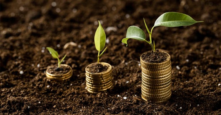 Private and government entities can raise the required funds by issuing bonds and debentures to investors.
