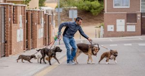 'Dawg business' is a term that is often used as slang for a dog-related business. It typically refers to a business that provides products or services for dogs, such as dog grooming, dog walking, dog training, dog daycare, or dog boarding.