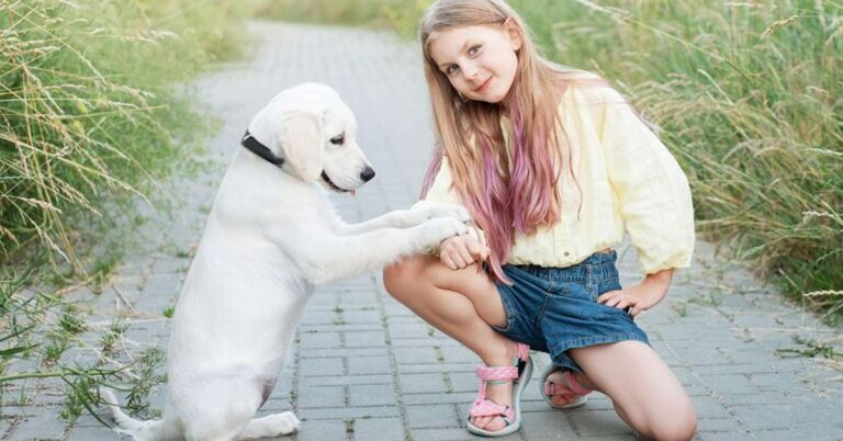 A white labrador puppy and a cute little white girl