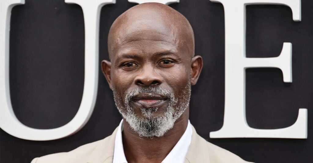 A picture of Hollywood ace actor Djimon Hounsou