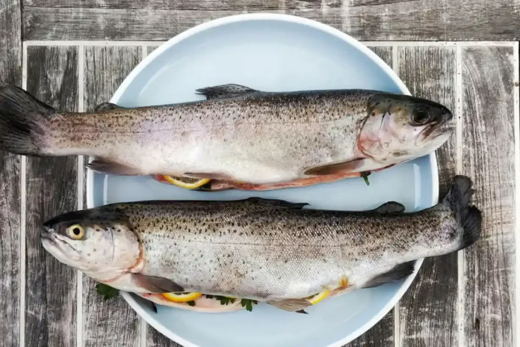 Rainbow trout cultivated in Mountstribe IoT-enabled cold-water aquaponics system in Uttarakhand